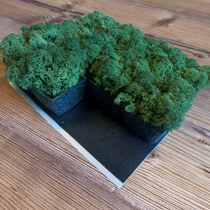 Nordgröna® Moos-Pixel im 12er Set | Moss