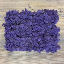 Laden Sie das Bild in den Galerie-Viewer, Nordgröna® Moos-Pixel im 12er Set | Purple
