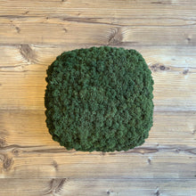 Laden Sie das Bild in den Galerie-Viewer, Nordgröna® Moos-Wandpanel Convex Squircle 30 x 30 cm | Moss
