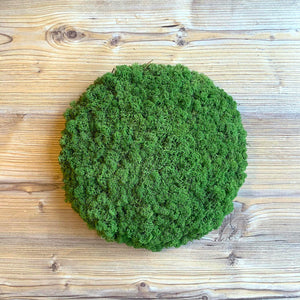 Nordgröna® Moos-Wandpanel Convex Circle ø 30 cm | Apple