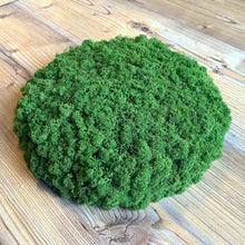 Charger l&#39;image dans la galerie, Nordgröna® Moos-Wandpanel Convex Circle ø 30 cm | Apple
