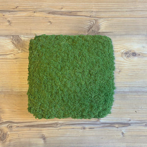 Nordgröna® Moos-Wandpanel Convex Square 30 x 30 cm | Apple