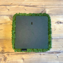 Laden Sie das Bild in den Galerie-Viewer, Nordgröna® Moos-Wandpanel Convex Square 30 x 30 cm | Apple

