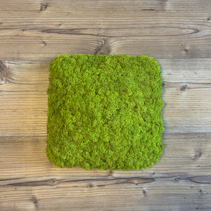 Nordgröna® Moos-Wandpanel Convex Square 30 x 30 cm | Lime