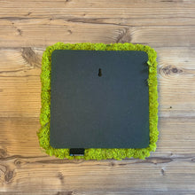 Load image into Gallery viewer, Nordgröna® Moos-Wandpanel Convex Square 30 x 30 cm | Lime
