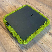 Load image into Gallery viewer, Nordgröna® Moos-Wandpanel Convex Square 30 x 30 cm | Lime
