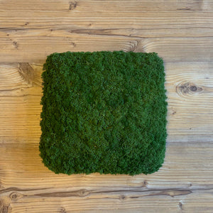 Nordgröna® Moos-Wandpanel Convex Square 30 x 30 cm | Moss