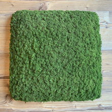 Laden Sie das Bild in den Galerie-Viewer, Nordgröna® Moos-Wandpanel Convex Square 45 x 45 cm | Apple
