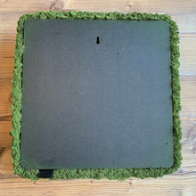 Laden Sie das Bild in den Galerie-Viewer, Nordgröna® Moos-Wandpanel Convex Square 45 x 45 cm | Apple

