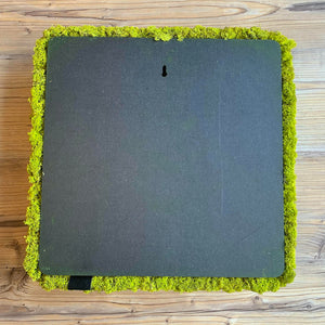 Nordgröna® Moos-Wandpanel Convex Square 45 x 45 cm | Lime