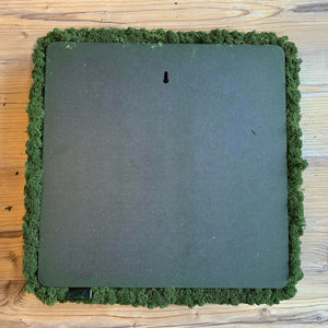 Nordgröna® Moos-Wandpanel Convex Square 45 x 45 cm | Moss