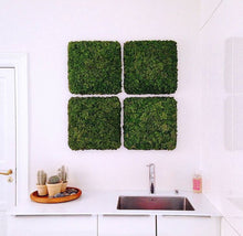 Load image into Gallery viewer, Nordgröna® Moos-Wandpanel Convex Square 45 x 45 cm | Moss
