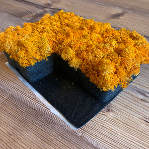 Nordgröna® Moos-Pixel im 12er Set | Orange