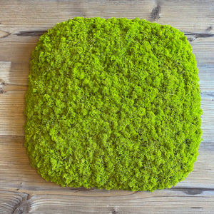 Nordgröna® Moos-Wandpanel Convex Squircle 45 x 45 cm | Lime