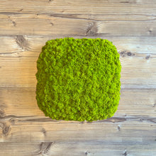 Laden Sie das Bild in den Galerie-Viewer, Nordgröna® Moos-Wandpanel Convex Squircle 30 x 30 cm | Lime
