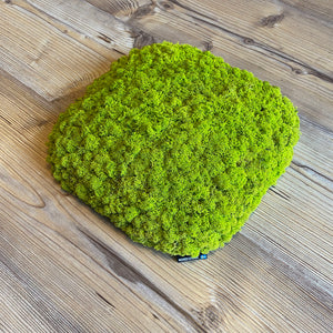 Nordgröna® Moos-Wandpanel Convex Squircle 30 x 30 cm | Lime