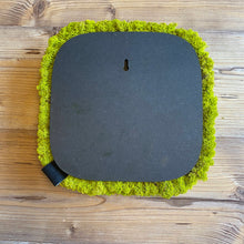 Load image into Gallery viewer, Nordgröna® Moos-Wandpanel Convex Squircle 30 x 30 cm | Lime
