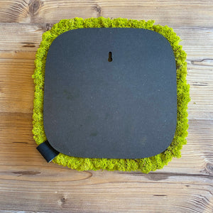 Nordgröna® Moos-Wandpanel Convex Squircle 30 x 30 cm | Lime