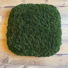 Load image into Gallery viewer, Nordgröna® Moos-Wandpanel Convex Squircle 45 x 45 cm | Moss
