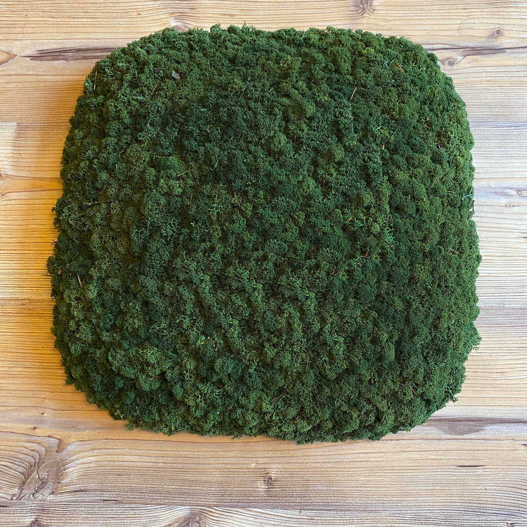 Nordgröna® Moos-Wandpanel Convex Squircle 45 x 45 cm | Moss