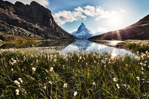 Akustikbild «Matterhorn und Blumen 90 x 60cm | verschiedene Grössen