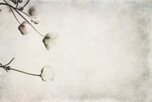 Load image into Gallery viewer, Akustikbild «Vintage Wildblumen» 90 x 60cm | verschiedene Grössen
