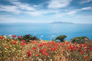 Akustikbild «Mohnblumen und Blick aufs Meer» 90 x 60cm | verschiedene Grössen