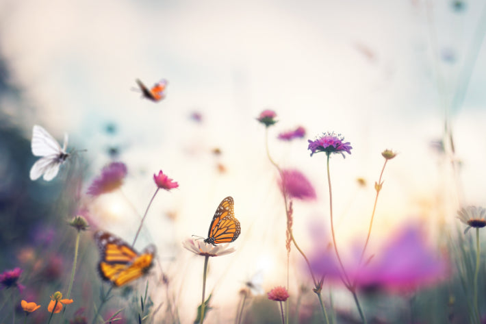 Akustikbild «Blumen und Schmetterlinge» 90 x 60cm | verschiedene Grössen