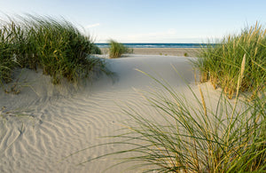 Akustikbild «Sanddünen Skagen - Dänemark» 90 x 60cm | verschiedene Grössen