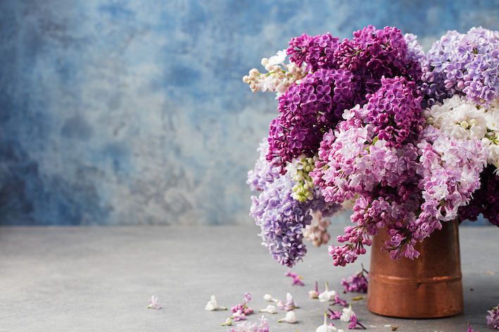 Akustikbild «Fliederfarbener Blumenstrauss» 90 x 60cm | verschiedene Grössen