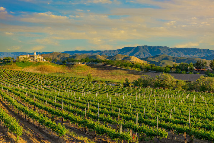 Akustikbild «Weingut im Temecula Valley - Kalifornien» 90 x 60cm | verschiedene Grössen